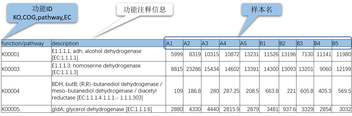 功能丰度.png